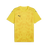 PUMA Teamultimate Jersey - Best Buy Soccer