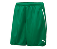 PUMA Women's Speed Short Green - Best Buy Soccer