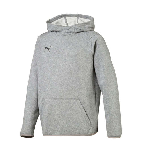 PUMA Youth Liga Hoody Grey - Best Buy Soccer