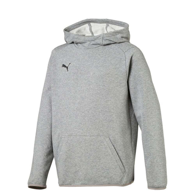 PUMA Youth Liga Hoody Grey - Best Buy Soccer