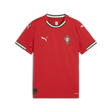 PUMA Youth Portugal Home Jersey Replica 25 - Best Buy Soccer