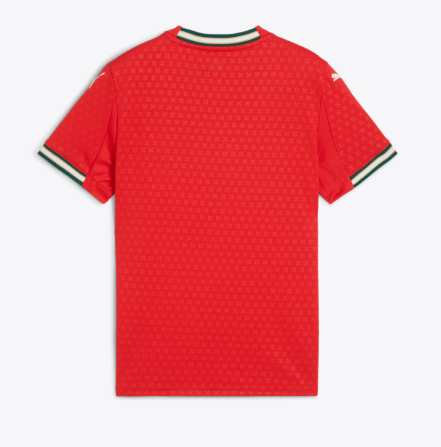 PUMA Youth Portugal Home Jersey Replica 25 - Best Buy Soccer