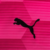 PUMA Youth Team Final 21 Graphic Jersey JR Pink Glimmer/Beetroot Purple - Best Buy Soccer