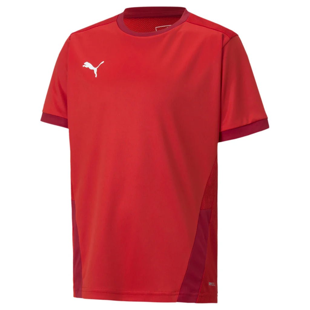 PUMA Youth TeamGOAL 23 Jersey JR - Best Buy Soccer