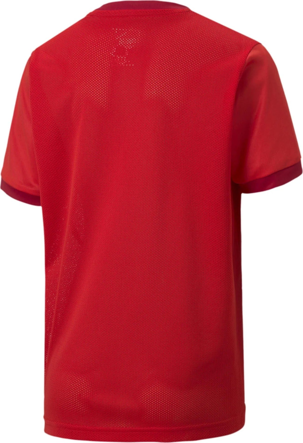 PUMA Youth TeamGOAL 23 Jersey JR - Best Buy Soccer