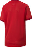 PUMA Youth TeamGOAL 23 Jersey JR - Best Buy Soccer