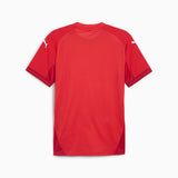 PUMA TeamFINAL Jersey
