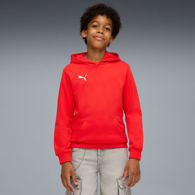 PUMA Teamgoal Casuals Hoodie