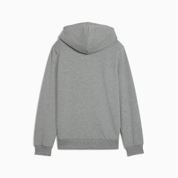 PUMA Teamgoal Casuals Hoodie