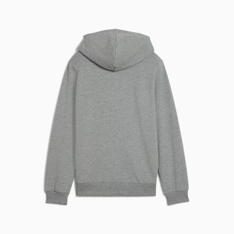 PUMA Teamgoal Casuals Hoodie