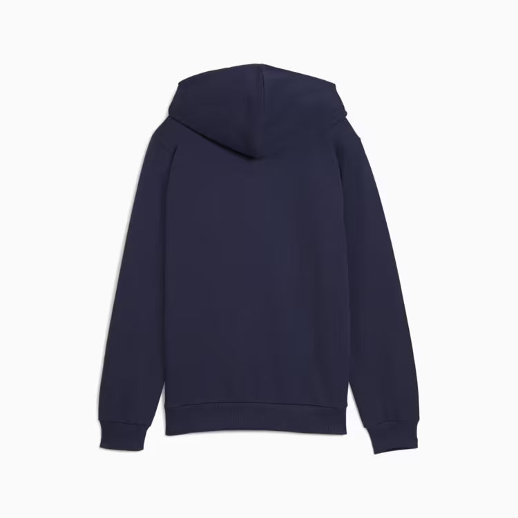 PUMA Teamgoal Casuals Hoodie