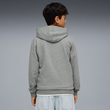 PUMA Teamgoal Casuals Hoodie