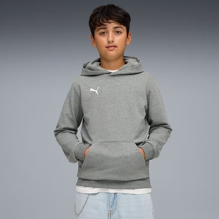 PUMA Teamgoal Casuals Hoodie – Best Buy Soccer