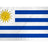 Uruguay 3X5 flag - Best Buy Soccer