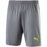 PUMA Evo Training Tech Shorts - Quiet Shade/Safety
