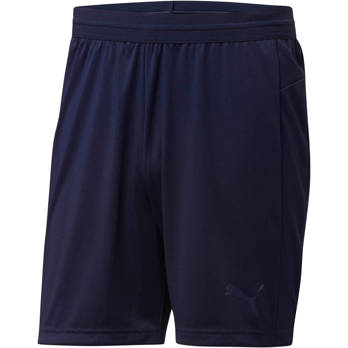 Puma Evo Trg Shorts