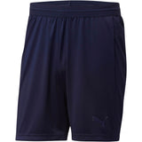 Puma Evo Trg Shorts