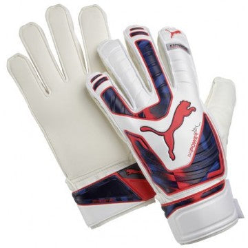 Puma Evo power Protect 3 Glove Wh