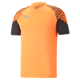 Puma Individual Cup Training Jersey