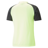 Puma Individual Cup Training Jersey