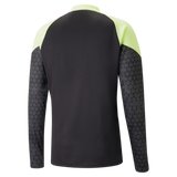 PUMA Individualcup Training 1/4 Zip Top