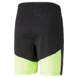PUMA Individual Cup Training Shorts