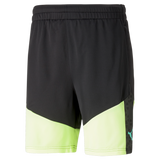 PUMA Individual Cup Training Shorts