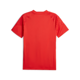PUMA AC Milan Training Jersey