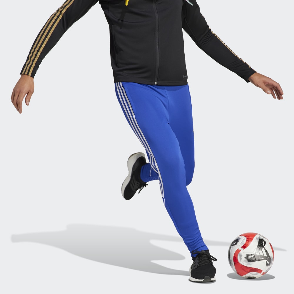 adidas Tiro 23 Pant