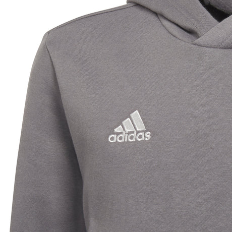 adidas Entrada 22 Sweat Hoody - Best Buy Soccer