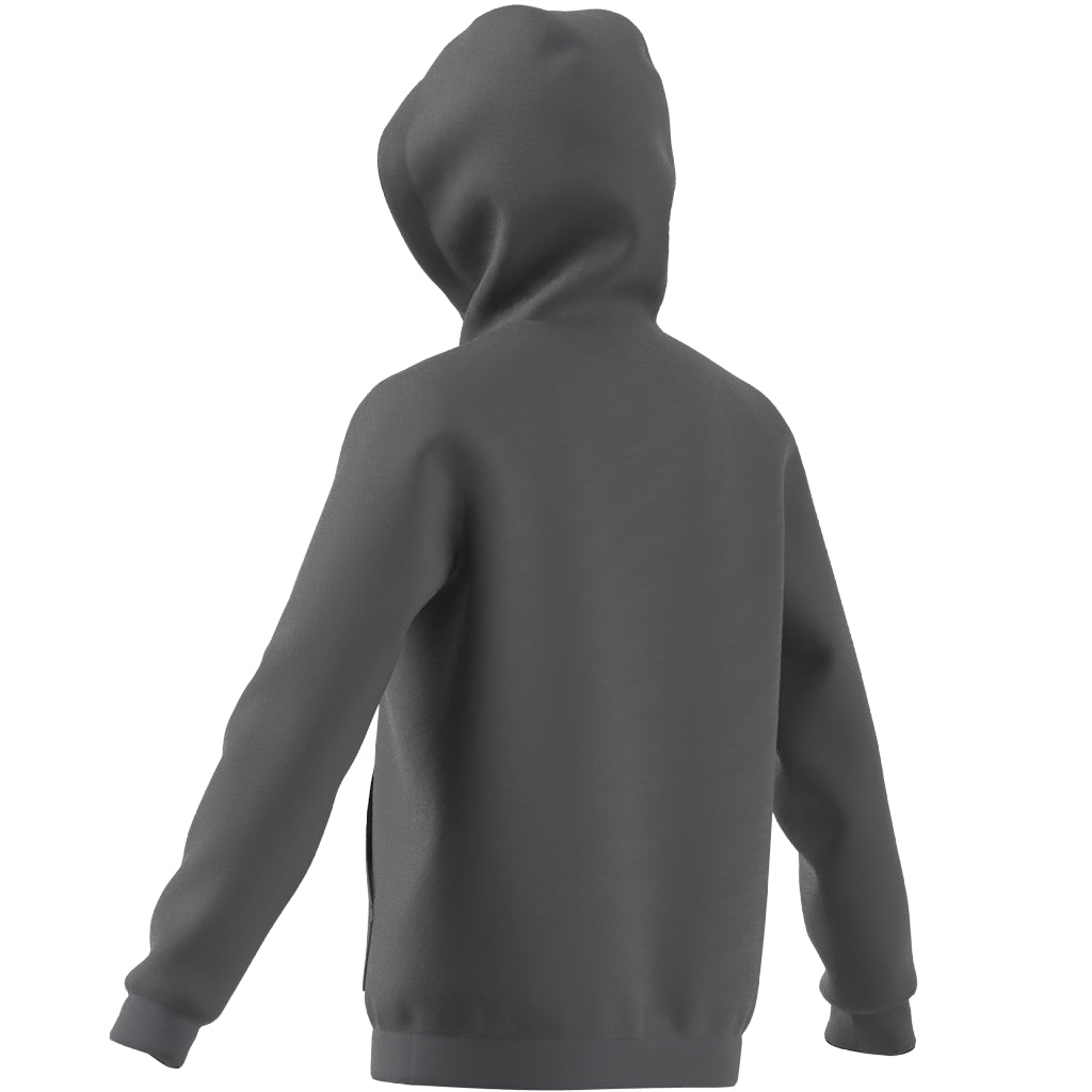 adidas Entrada 22 Sweat Hoody - Best Buy Soccer