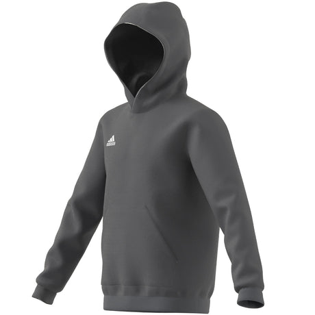adidas Entrada 22 Sweat Hoody - Best Buy Soccer