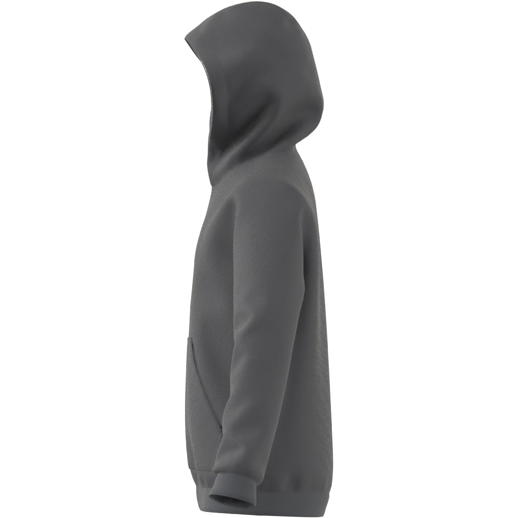 adidas Entrada 22 Sweat Hoody - Best Buy Soccer