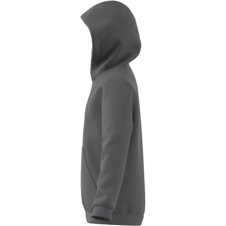 adidas Entrada 22 Sweat Hoody - Best Buy Soccer