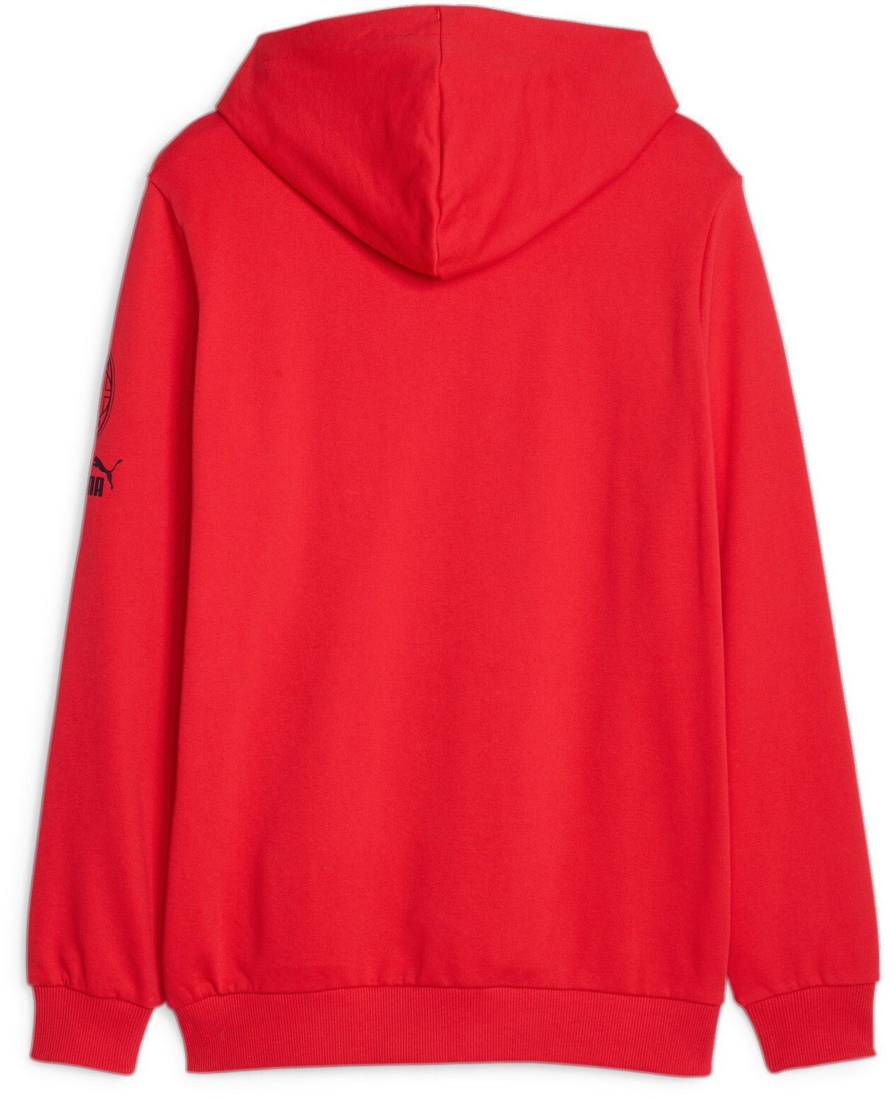 PUMA AC Milan FtblCore Graphic Hoody - Best Buy Soccer