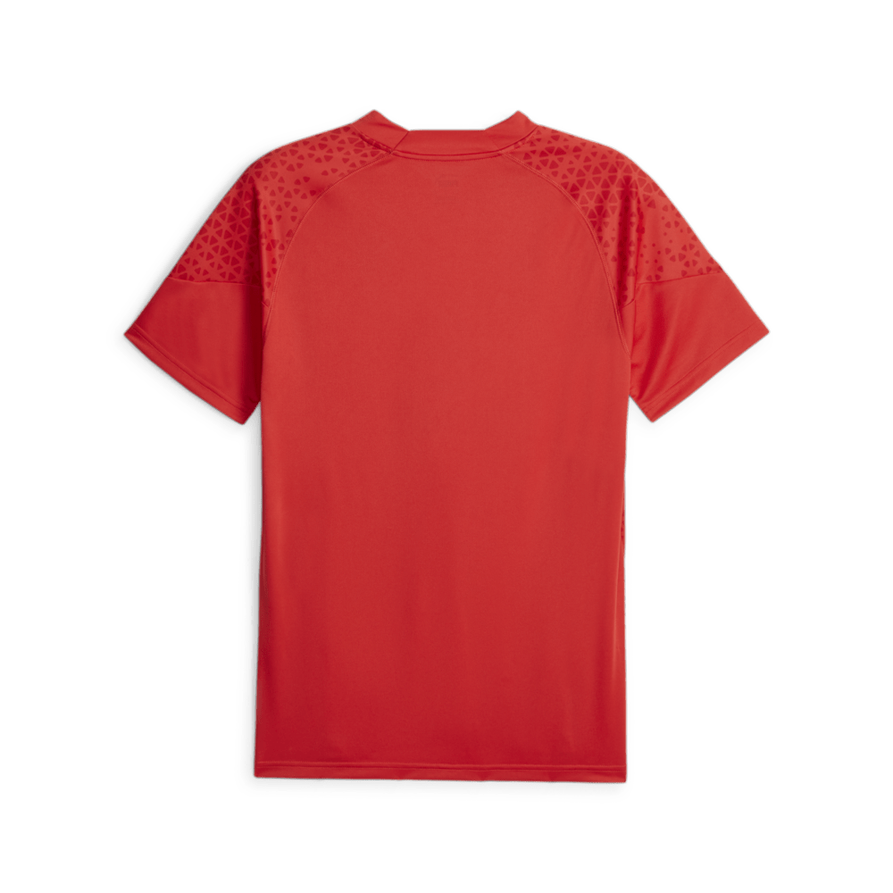 PUMA AC Milan Training Jersey - Best Buy Soccer