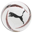 PUMA Cellerator Camp Ball - Best Buy Soccer