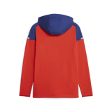 PUMA Chivas Casuals Hooded Jacket - Best Buy Soccer