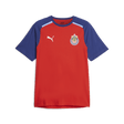 PUMA Chivas Casuals Tee - Best Buy Soccer