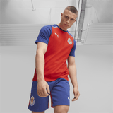 PUMA Chivas Casuals Tee - Best Buy Soccer