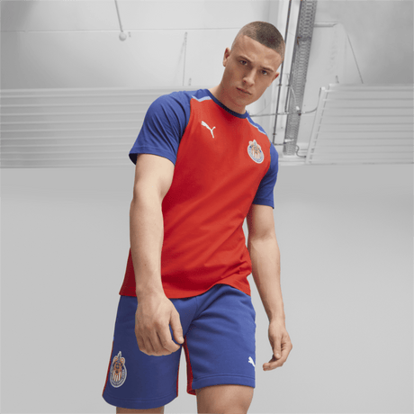 PUMA Chivas Casuals Tee - Best Buy Soccer