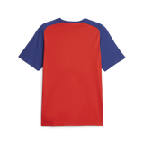 PUMA Chivas Casuals Tee - Best Buy Soccer