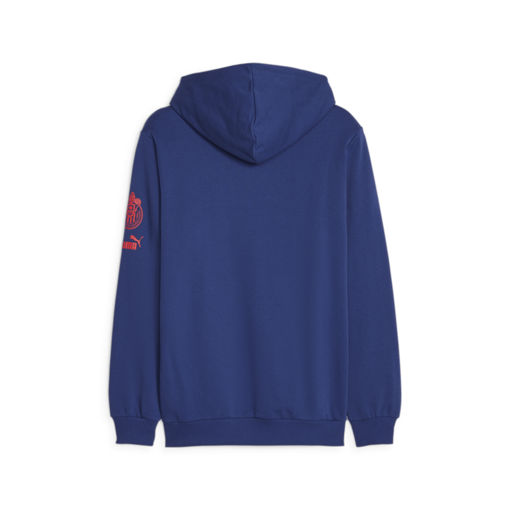 PUMA Chivas Core Graphic Hoody - Best Buy Soccer