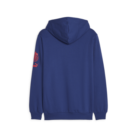 PUMA Chivas Core Graphic Hoody - Best Buy Soccer