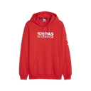 PUMA Chivas Core Graphic Hoody - Best Buy Soccer