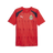 PUMA Chivas Prematch Short Sleeve Jersey - Best Buy Soccer