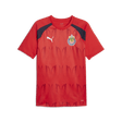 PUMA Chivas Prematch Short Sleeve Jersey - Best Buy Soccer