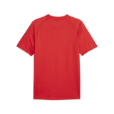 PUMA Chivas Prematch Short Sleeve Jersey - Best Buy Soccer