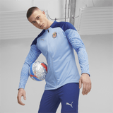 PUMA Chivas Training Jacket - Best Buy Soccer
