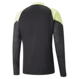 PUMA Individualcup Training 1/4 Zip Top - Best Buy Soccer